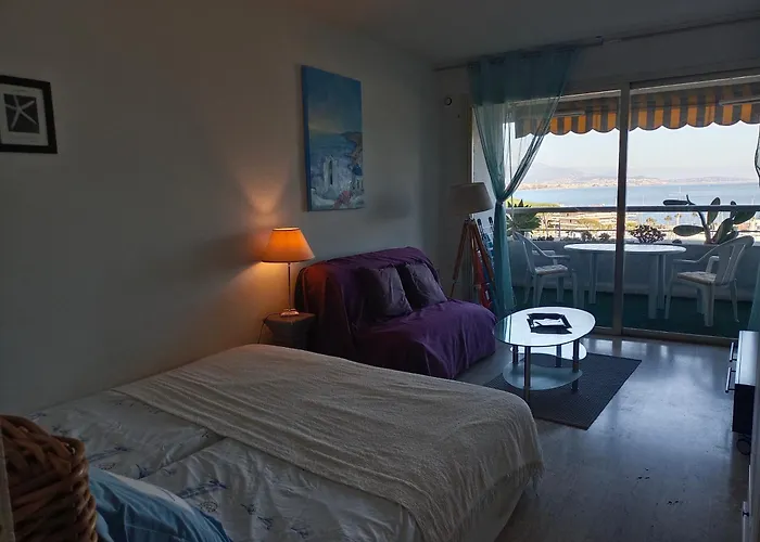Grand Studio Vue Mer A Marina Baie Des Anges